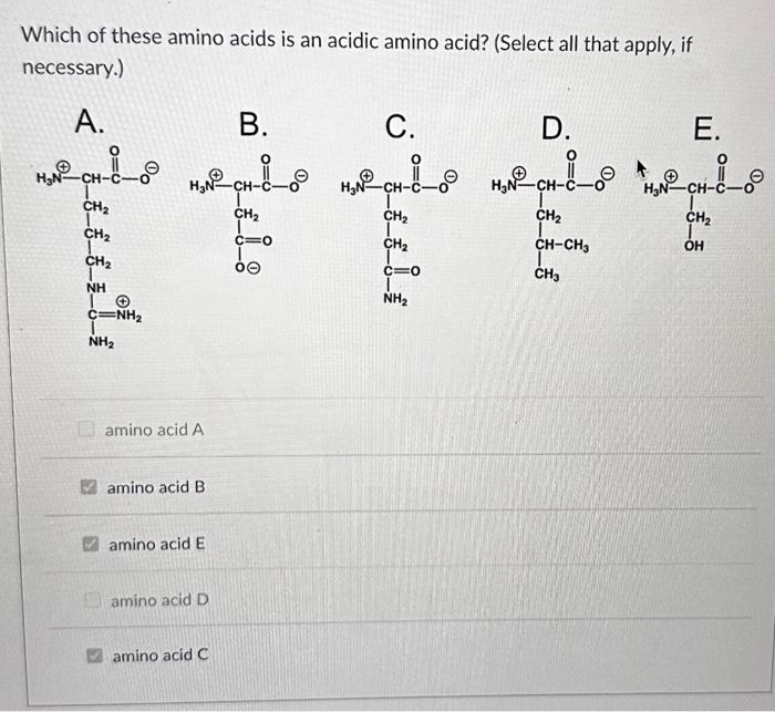 Solved Which of these amino acids is an acidic amino acid? | Chegg.com