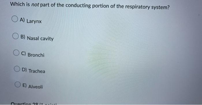 Which is not part of the conducting portion of the respiratory system?
A) Larynx
B) Nasal cavity
C) Bronchi
D) Trachea
E) Alv