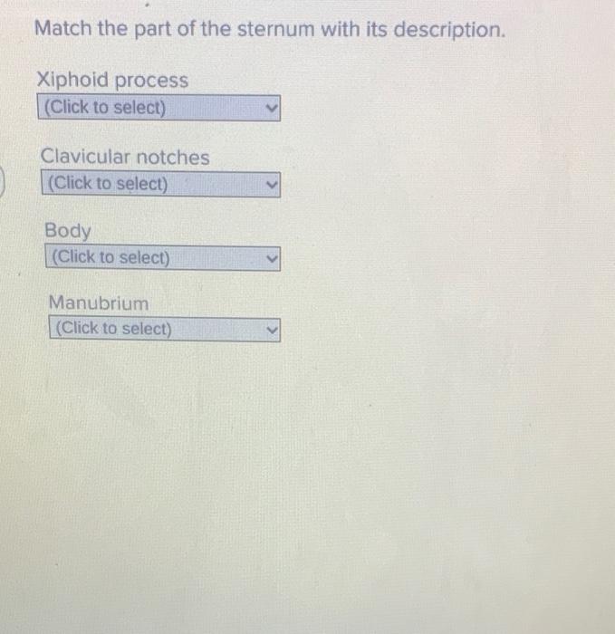 Solved Match The Division Of The Vertebral Column With Its | Chegg.com