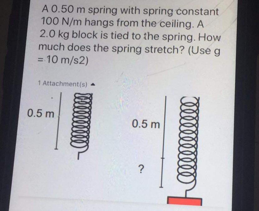 Solved A 0.50 m spring with spring constant 100 N/m hangs | Chegg.com