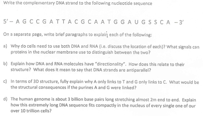 Solved Write the complementary DNA strand to the following | Chegg.com