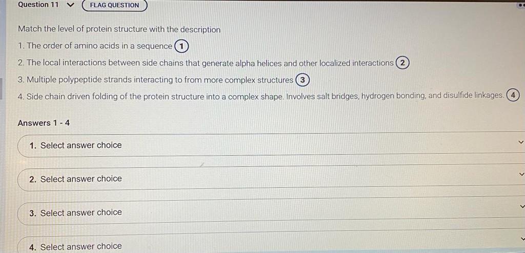 Solved Match The Level Of Protein Structure With The | Chegg.com