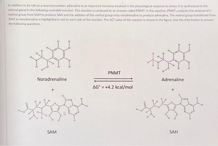 Solved In addition to its role as a neurotransmitter, | Chegg.com