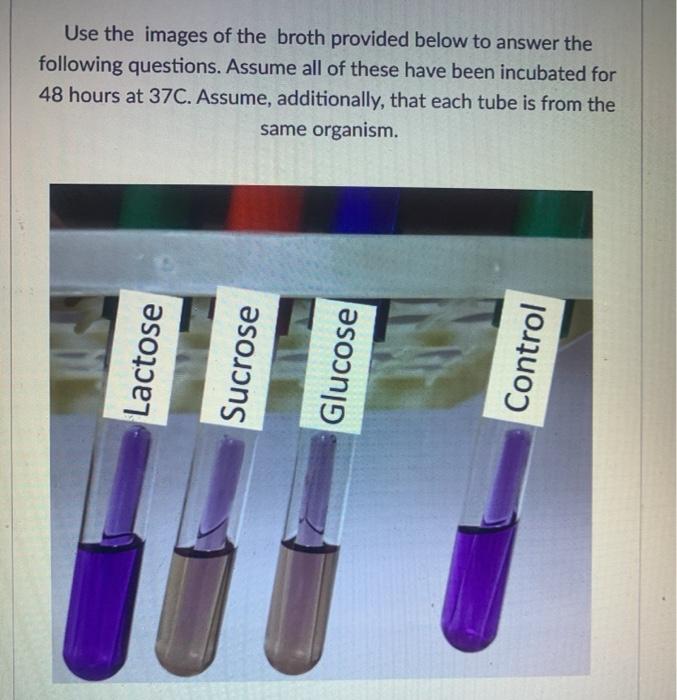 Solved Use The Images Of The Broth Provided Below To Answer | Chegg.com