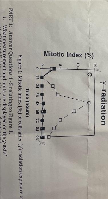 Solved Mitotic Index (\%) Biology Diagrams