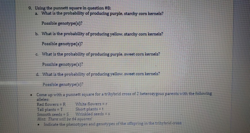 Solved 8. Set up a punnett square using the following | Chegg.com