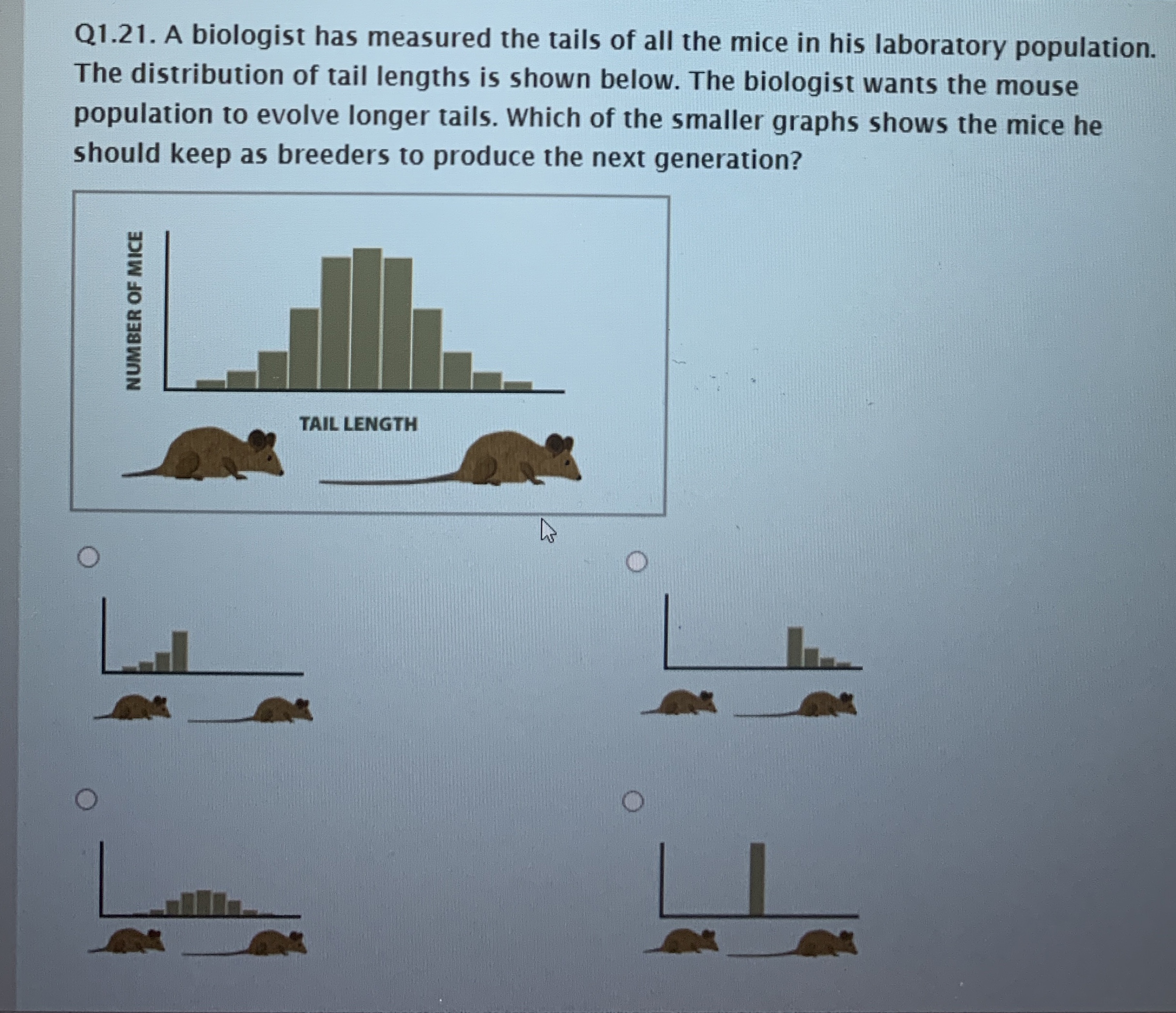 Solved Q1.21. ﻿A biologist has measured the tails of all the | Chegg.com
