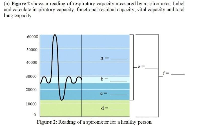 Solved (a) Figure 2 shows a reading of respiratory capacity | Chegg.com