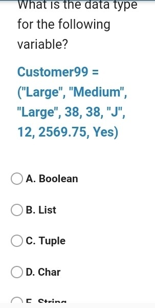 What is the data type for the following variable? Customer99 = (Large, Medium, Large, 38, 38, J, 12, 2569.75, Yes) A.