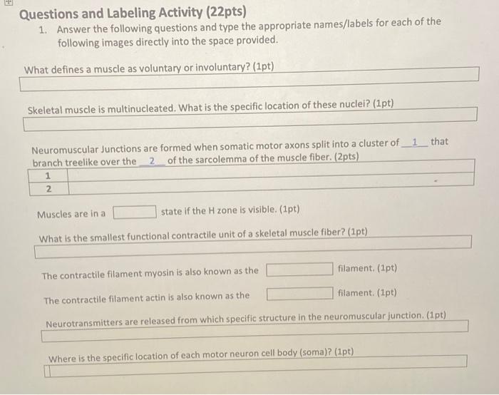 Solved Questions and Labeling Activity (22pts) 1. Answer the | Chegg.com
