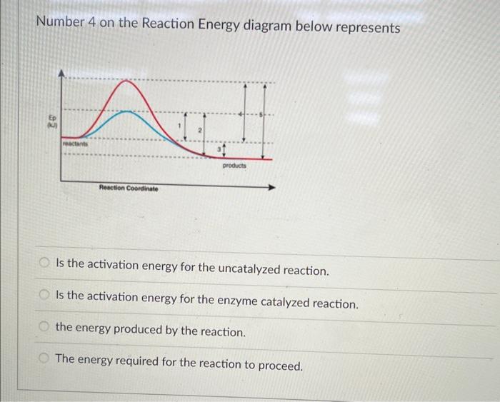 Solved Number 4 on the Reaction Energy diagram below | Chegg.com