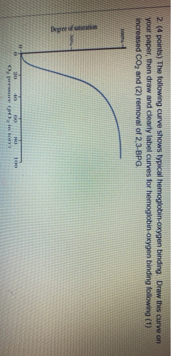 Solved 1. (4 points) A plot of enzyme activity with and | Chegg.com