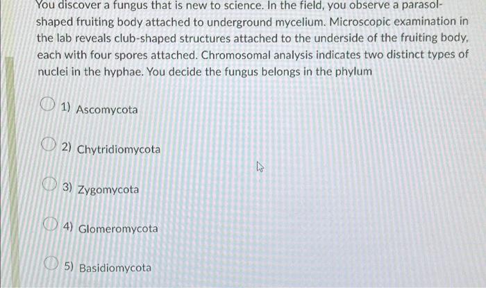 Solved You Discover A Fungus That Is New To Science. In The | Chegg.com