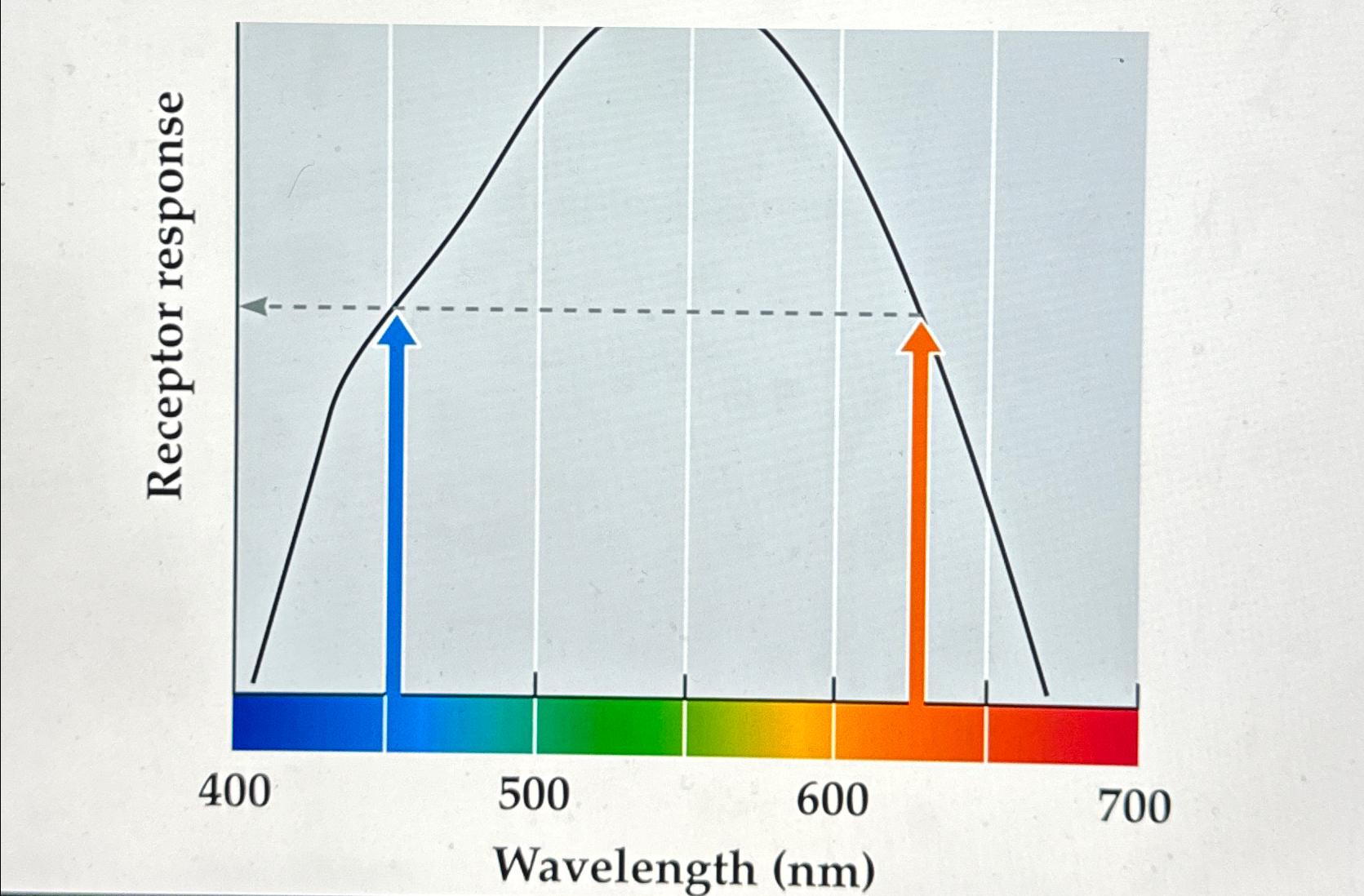 Solved On average, humans have three cone types. If you only