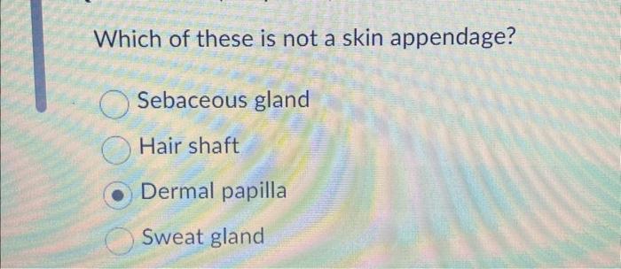 Solved Which of these is not a skin appendage? Sebaceous | Chegg.com