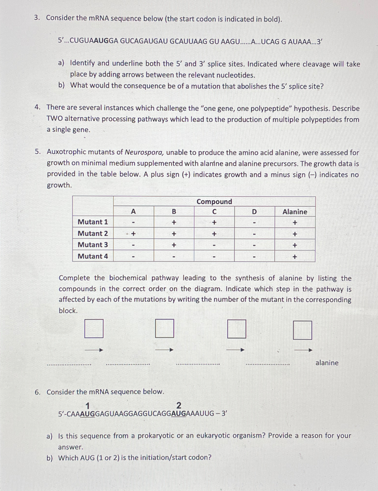 Solved Consider the mRNA sequence below (the start codon is | Chegg.com