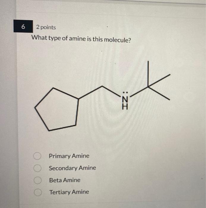 Solved 2 Points What Type Of Amine Is This Molecule Primary Chegg
