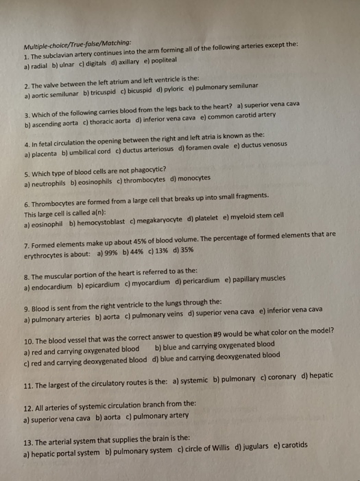 Solved Total Short Answer 1 What Are The Adult Remnants Chegg Com