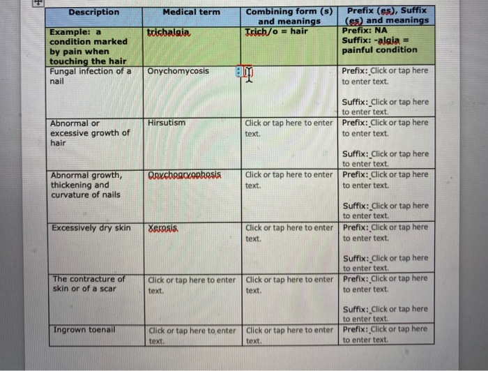 Solved Please Fill Out All Missing Spaces And Include Prefix Chegg Com