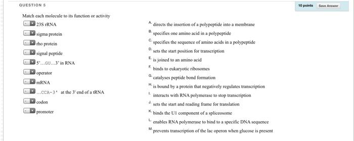 Solved QUESTIONS 10 points Save Answer B Match each molecule | Chegg.com