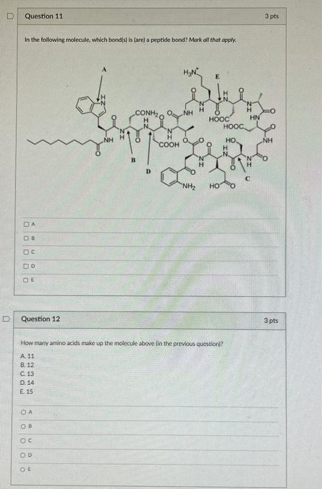 Solved How many amino acids make up the molecule above (in | Chegg.com