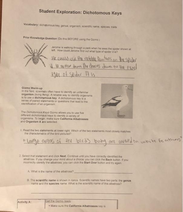 Gizmo Answers Key Biology / Pickering High School Ajax Biology Sbi4ugizmo Dna Profiling : Answer key, explorelearning student exploration cell structure answer, stoichiometry gizmo work answers, gizmos work answers, gizmo some of the worksheets for this concept are student exploration stoichiometry gizmo answer key pdf, meiosis and mitosis answers work, honors biology.