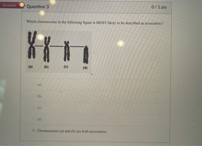Solved Incorrect Question 3 0/1 pts Which chromosome in the | Chegg.com