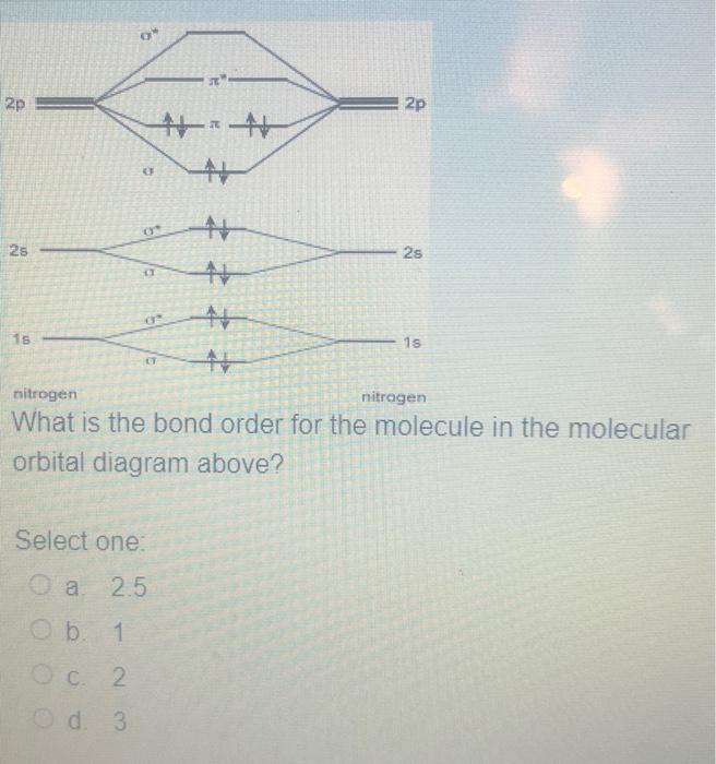 Solved What is the bond order for the molecule in the | Chegg.com
