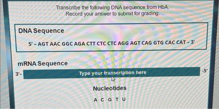 Solved Transcribe the following DNA sequence from HbA. | Chegg.com