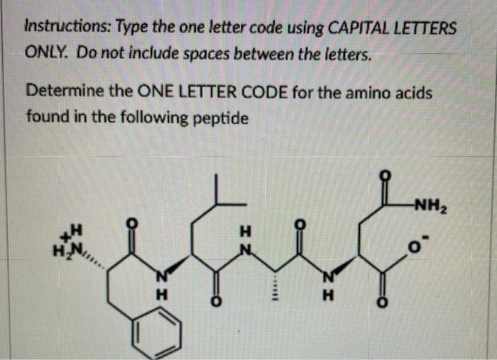 Solved Instructions: Type the one letter code using CAPITAL | Chegg.com