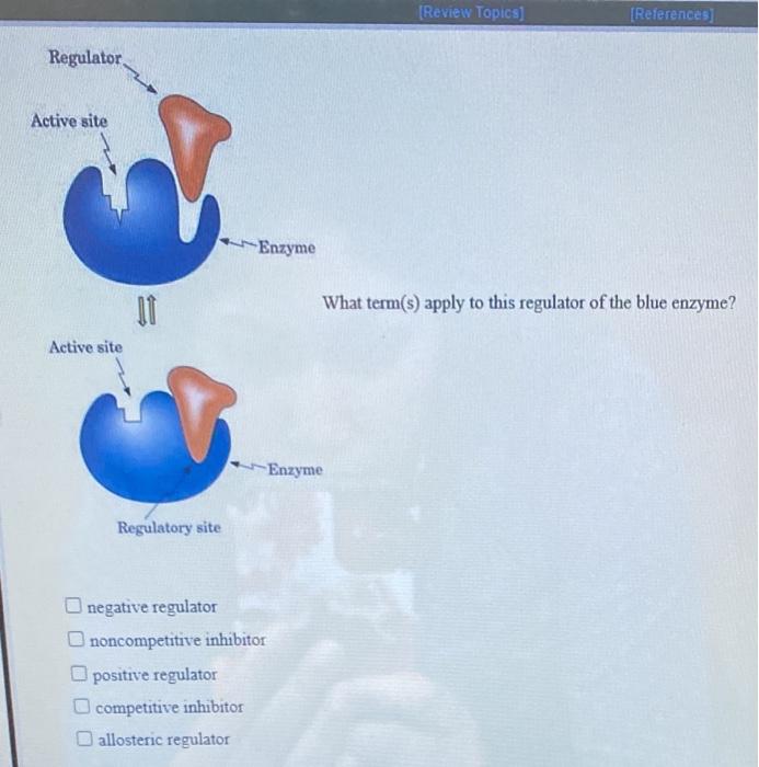 Solved The class of enzyme that catalyzes the conversion of | Chegg.com