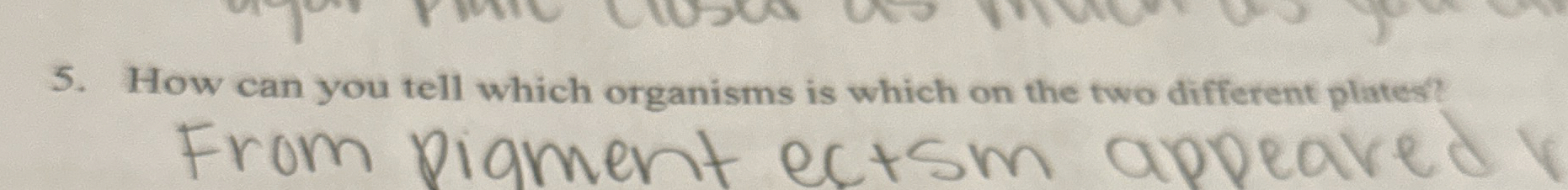Solved How can you tell which organisms is which on the two | Chegg.com
