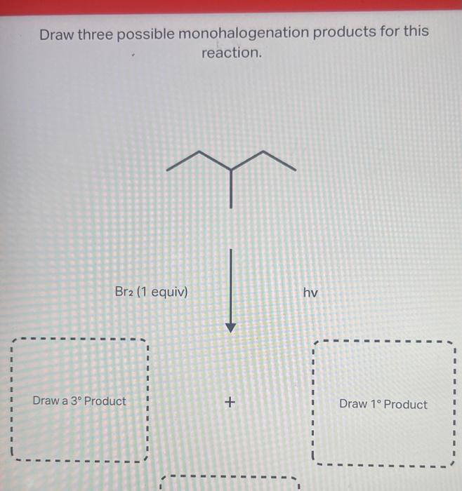 Draw three possible monohalogenation products for this reaction.