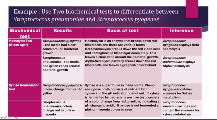 solved-biochemical-tests-can-be-used-to-differentiate-chegg