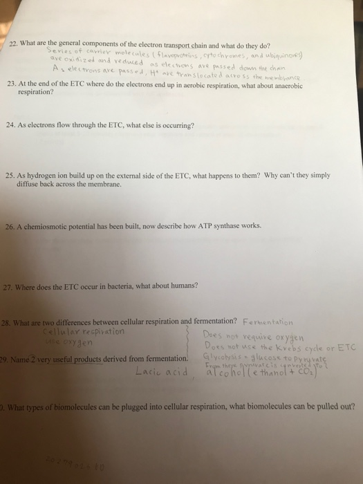 Solved 22. What are the general components of the electron | Chegg.com