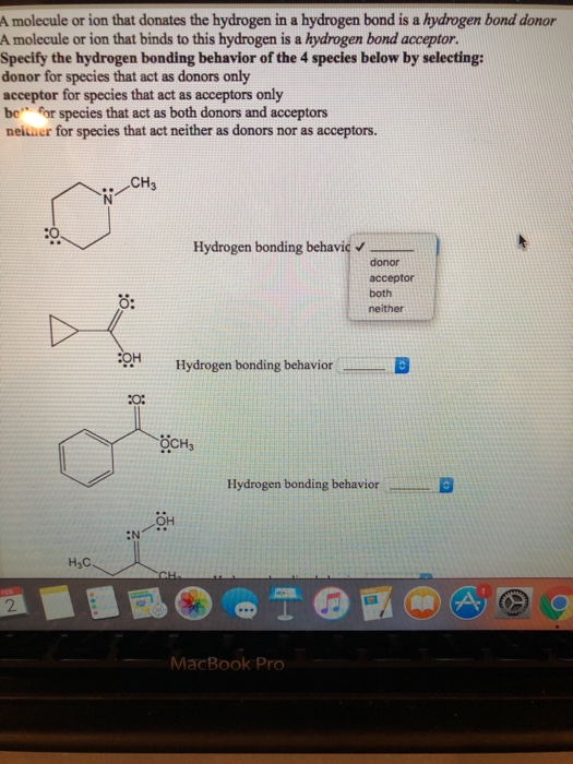 Solved CH H CH3 Hydrogen bonding behavior CH3 H3c Hydrogen | Chegg.com