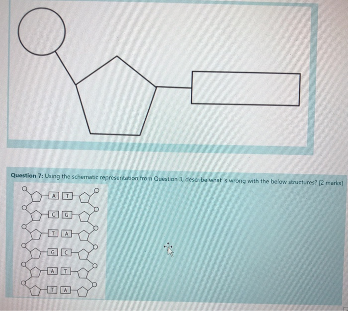 Solved O Question 7: Using The Schematic Representation From | Chegg.com