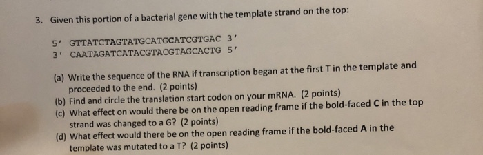 Solved 3. Given this portion of a bacterial gene with the | Chegg.com