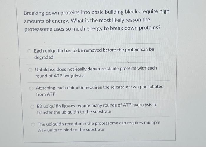 breaking proteins experiment