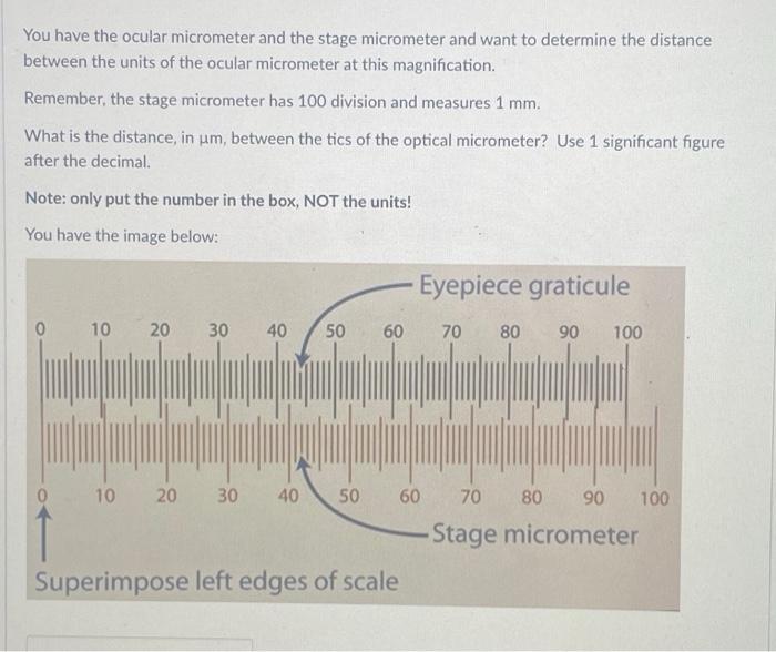Solved You have the ocular micrometer and the stage