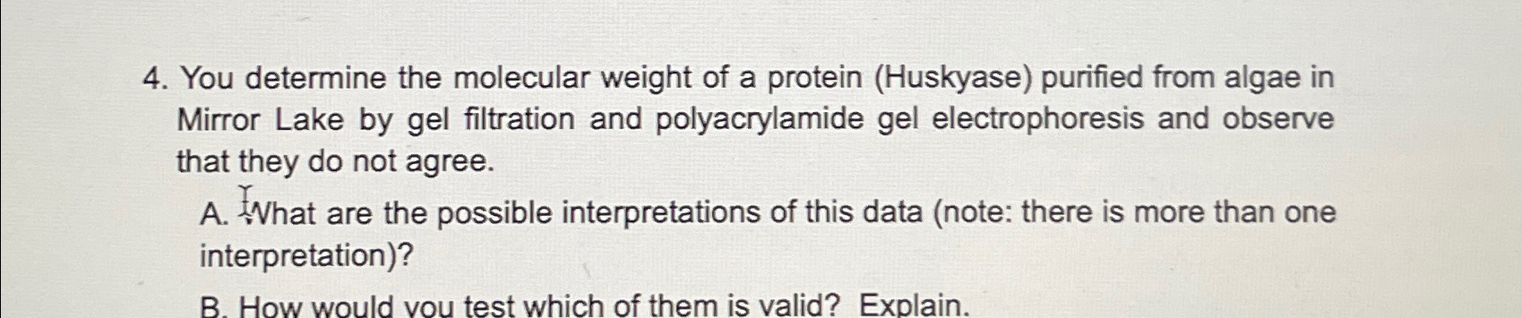 Solved You determine the molecular weight of a protein | Chegg.com