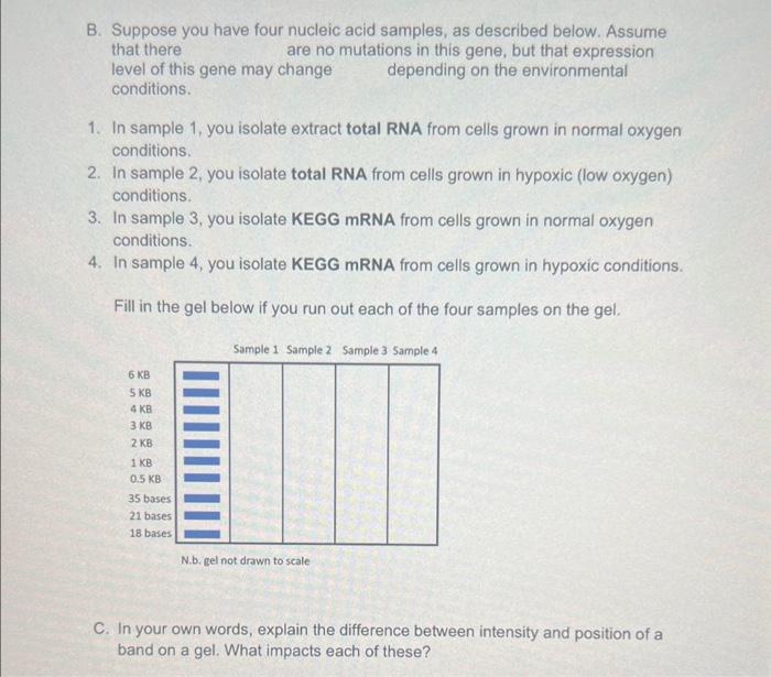 Solved B. Suppose you have four nucleic acid samples, as
