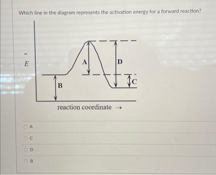 Solved Which line in the diagram represents the activation | Chegg.com