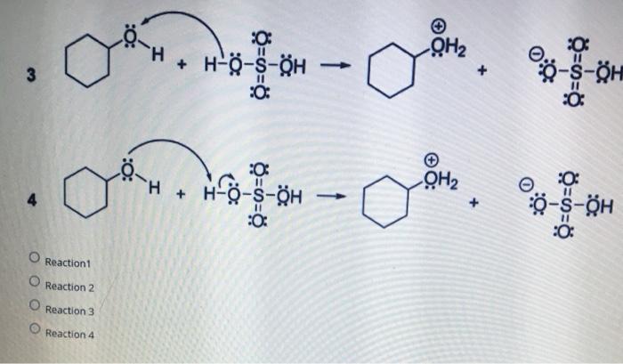 Solved Choose The Reaction With The Correct Arrows And Pr Chegg Com