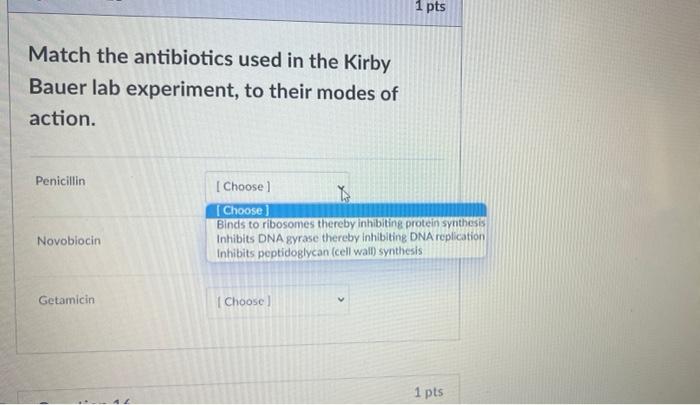 Solved 1 pts Match the antibiotics used in the Kirby Bauer | Chegg.com