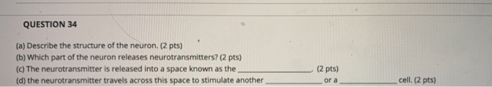 Solved Question 34 A Describe The Structure Of The Neuron Chegg Solved Question 34 A Describe The Structure Of The Neuron Chegg