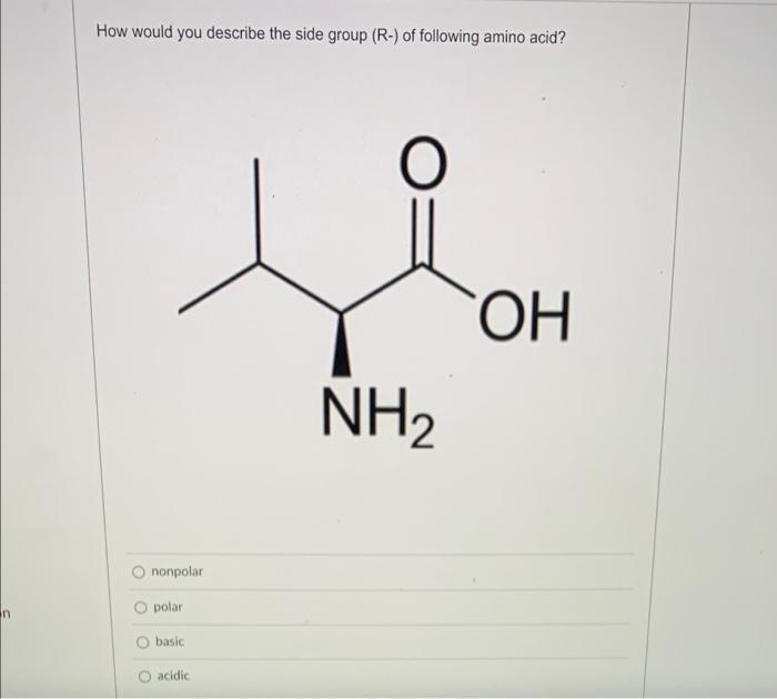 How would you describe the side group (R-) of following amino acid?
nonpolar
polar
basic
acidic