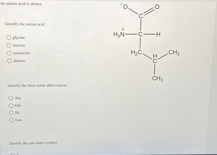Solved An amino acid is shown. Identify the amino acid. | Chegg.com
