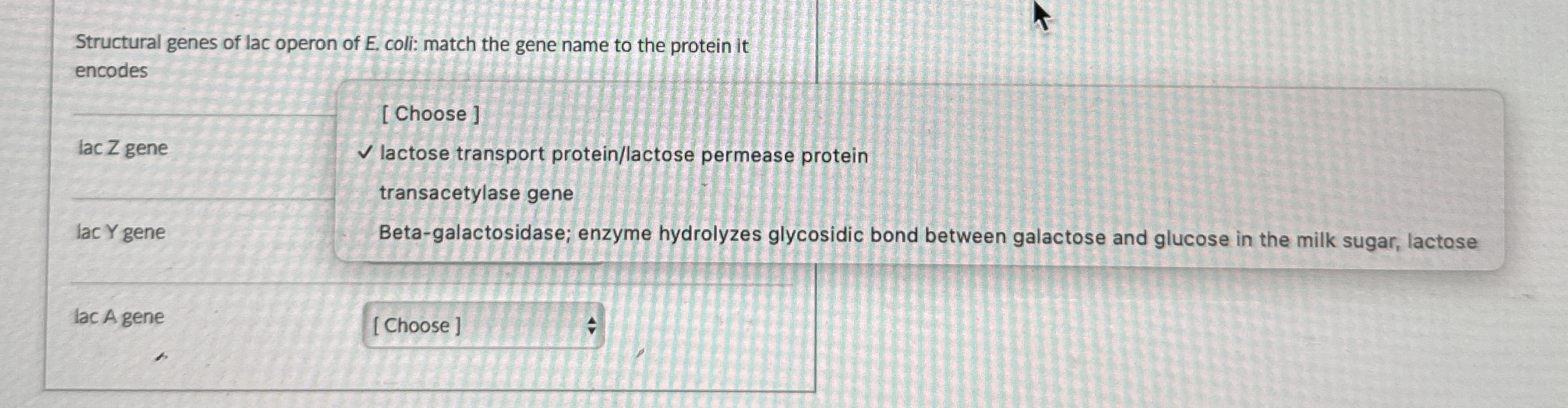 Solved ﻿lactose transport protein/lactose permease