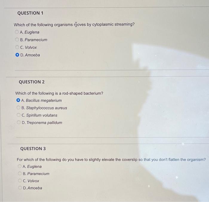 Solved Which of the following is a eukarotic organsm that | Chegg.com